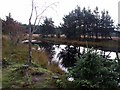 Pond on Fannyside Muir in Cumbernauld East Ward