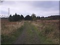Fannyside Muir track in Cumbernauld East Ward