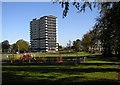 Play area next to Gracemount multi-storey flats in EH16 6UW