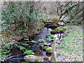 View of a stream outside Bontnewydd in LL55 2TF