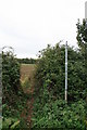 Footpath over the field in GL7 3NW