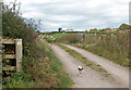 Farm track and footpath, Castle Farm, Raglan in NP15 2DU