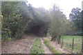 Footpath to Goldwell Farm in TN27 8BS