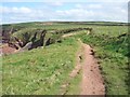 Coast path above the cliffs at Musselwick in Marloes and St. Brides Community