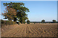 Ploughed field at Nowton in IP29 5LZ