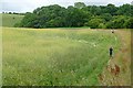 Footpath towards West Woodhay Down in RG20 0BP