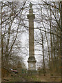The Ailesbury Column, Savernake Forest in SN8 3BH