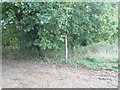 Footpath junction at St Peter, Terwick in GU31 5EF