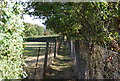Footpath north of Philpots Lane in TN11 8PD