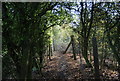 Bend in the path north of Philpots Lane in TN11 8PD