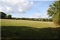 Large field near Fletcher's Green in TN11 8PL