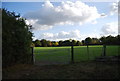 Gate by the footpath in TN11 8PL