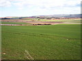 Fields southeast of Kinkell in AB30 1TB
