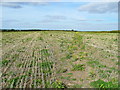 Footpath through stubble 1 in GL54 5DQ