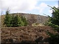 Summit track, Pirn Craig in Tweeddale East Ward
