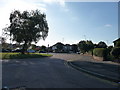 Bournemouth : Ibbertson Road & Castle Lane West in BH8 9UA