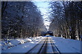 Winter Morning driving through the wood near Memus in DD8 3TT