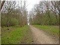 Bridleway through Old Sulehay Forest in PE8 6PN