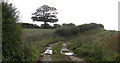 Farm track in LN8 3UU