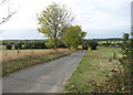 Unnamed lane to Stoke Holy Cross in NR14 8HR
