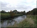 River Trent - upstream at Crown Meadow in ST15 8BH