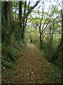 Footpath up through the woods in WR14 1PW