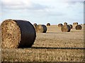 Round straw bales in stubble field in SR7 8FB
