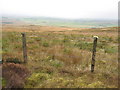 Fence on Wether Hill in NE19 1BL