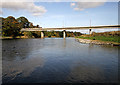 The River Tweed at Kelso in TD5 8HX