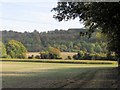 A view across the fields to the Chiltern Hills in HP23 6LA