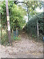 Path from the up side to Witley Station footbridge in GU8 5SY