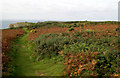 Coastal path above Mewslade Bay in SA3 1PN