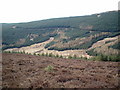 Looking across Hangingshaw Burn from Minchmoor Road in TD7 5JY