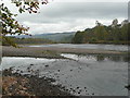 Gravel beds in River Tummel in PH9 0LB