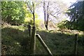 Fence in King's Wood in TN25 4HF
