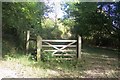 Gate in Bilting Plantation in TN25 4HF