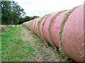 Bales near Balgownie in DD8 1SF