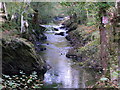 Gorge in lower Afan Cothi Valley in SA32 7PL