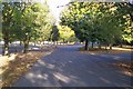 Tree covered car park at Tonbridge Football Ground in TN10 3LL