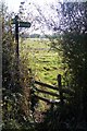 Footpaths on Philpots Lane in TN11 8PD