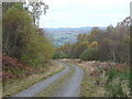 Forestry track to Castle Dow in PH9 0PU