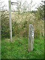 Signposts, Alloa - Dunfermline link in FK10 4HN