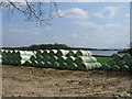 Wrapped silage bales in TN8 7WH