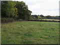 Bridleway into Great Wood in RG9 6SS