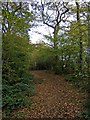 Path by edge of Uffmoor Wood, looking north in B62 0NX