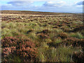 Moorland above Kielder in NE48 1RY
