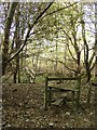 Footbridge and stile over watercourse on Ermine Street in St. Martin's Without