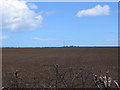 A Ploughed Grid Square in Bridlington Central and Old Town Ward