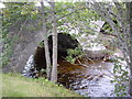 Twin arches of the Nethy bridge in PH25 3DR