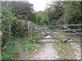 Bridleway to Brownings Copse in RH14 0LG